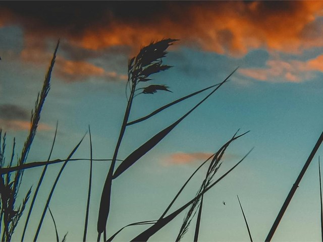 Alfa Romeo Giulia 2020